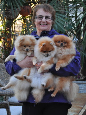 Denise Leo and the Dochlaggie Pomeranians