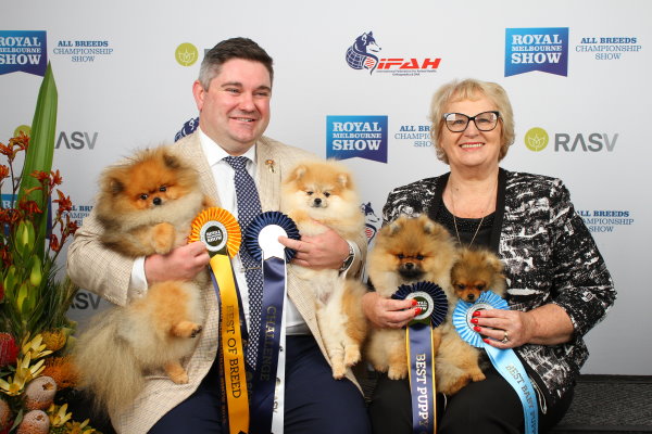 Pomeranians Melbourne Royal 2018