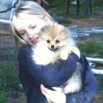 Pomeranian puppy