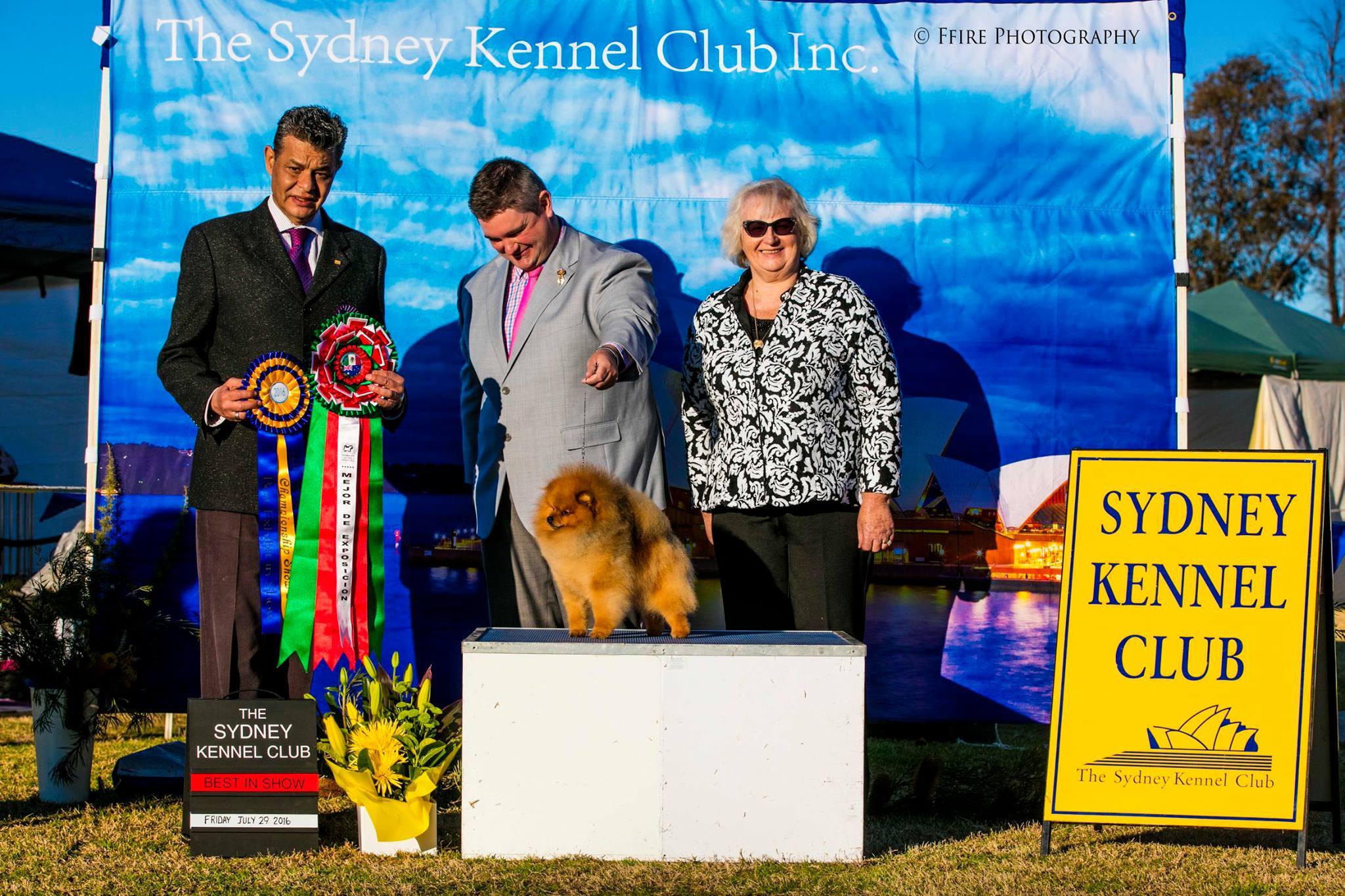 Rebel the Pomeranian handled by Jrarrod Tyler wins BEST IN SHOW All Breeds at Sydney Kennel Club