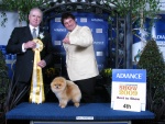 Australian Multi BISA Supreme Champion Dochlaggie Dragon Heart winning his first Royal Best in Show 4th award